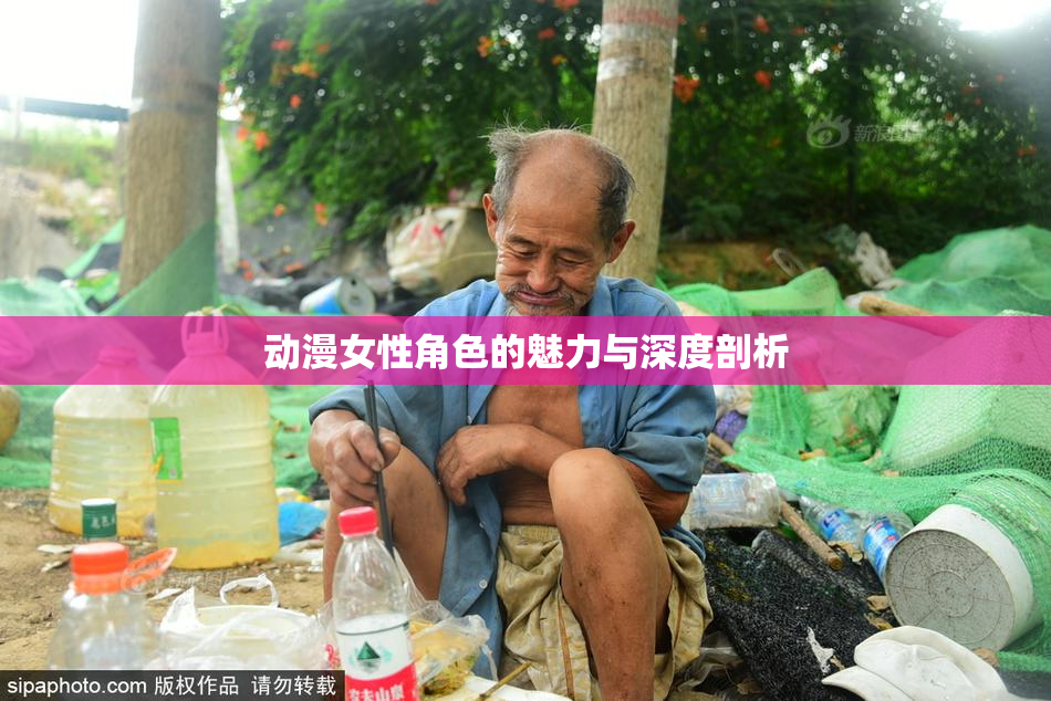 动漫女性角色的魅力与深度剖析