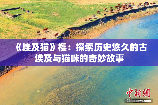 《埃及猫》樱：探索历史悠久的古埃及与猫咪的奇妙故事