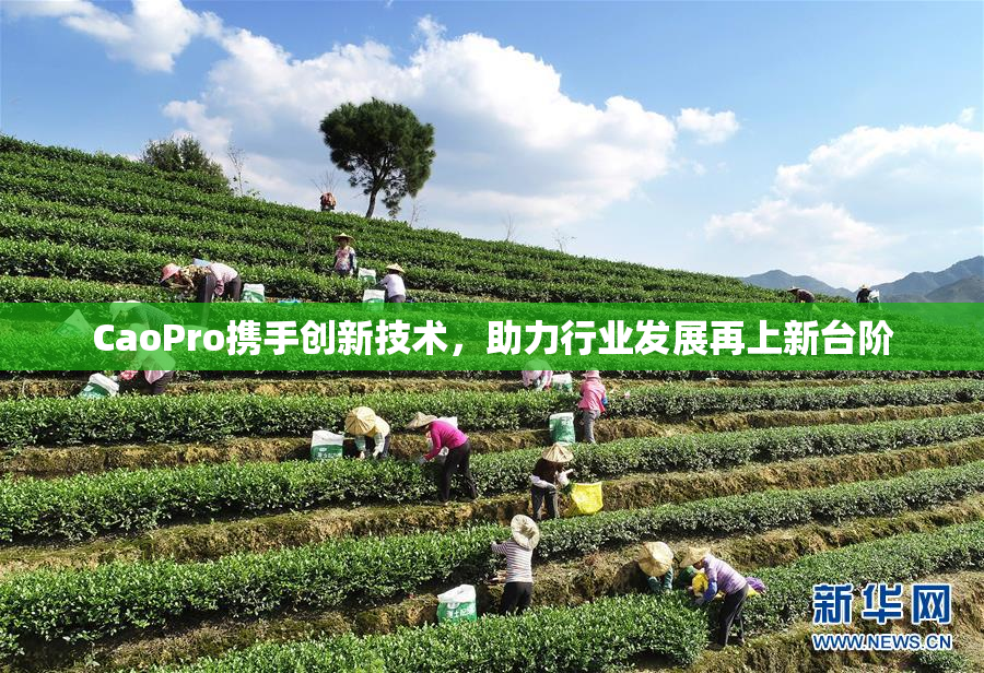 CaoPro携手创新技术，助力行业发展再上新台阶