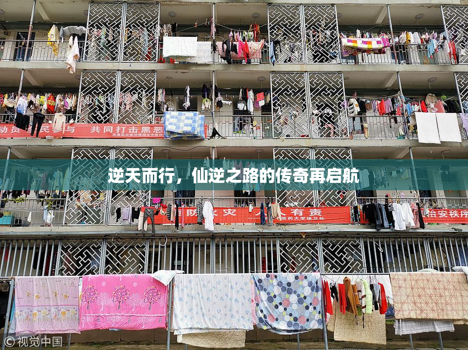 逆天而行，仙逆之路的传奇再启航