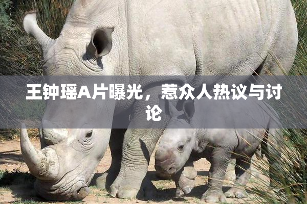 王钟瑶A片曝光，惹众人热议与讨论