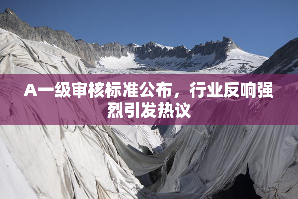 A一级审核标准公布，行业反响强烈引发热议