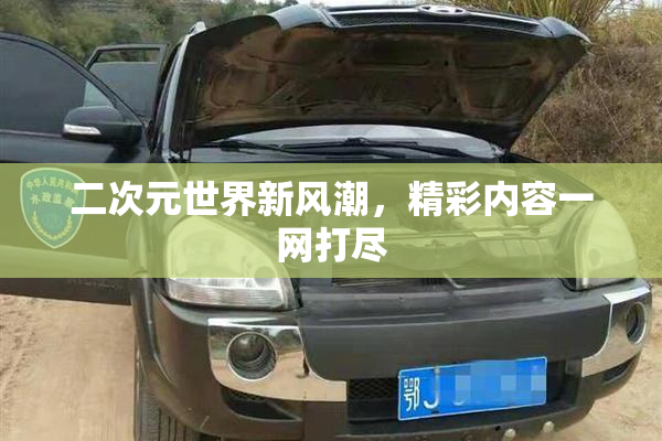 二次元世界新风潮，精彩内容一网打尽