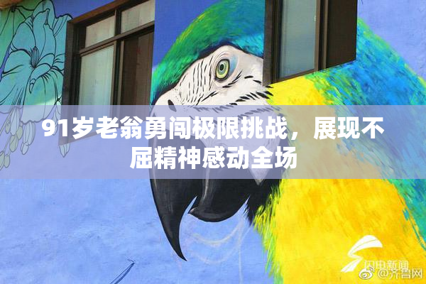 91岁老翁勇闯极限挑战，展现不屈精神感动全场