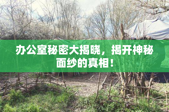 办公室秘密大揭晓，揭开神秘面纱的真相！