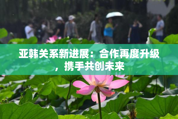 亚韩关系新进展：合作再度升级，携手共创未来