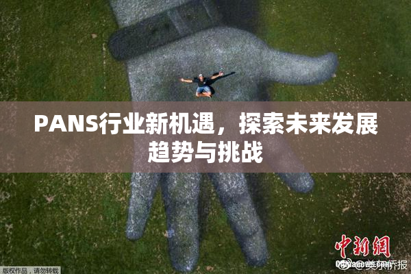 PANS行业新机遇，探索未来发展趋势与挑战