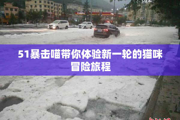 51暴击喵带你体验新一轮的猫咪冒险旅程