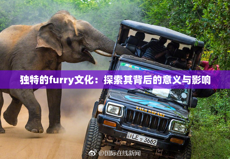 独特的furry文化：探索其背后的意义与影响