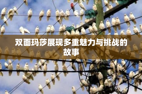双面玛莎展现多重魅力与挑战的故事