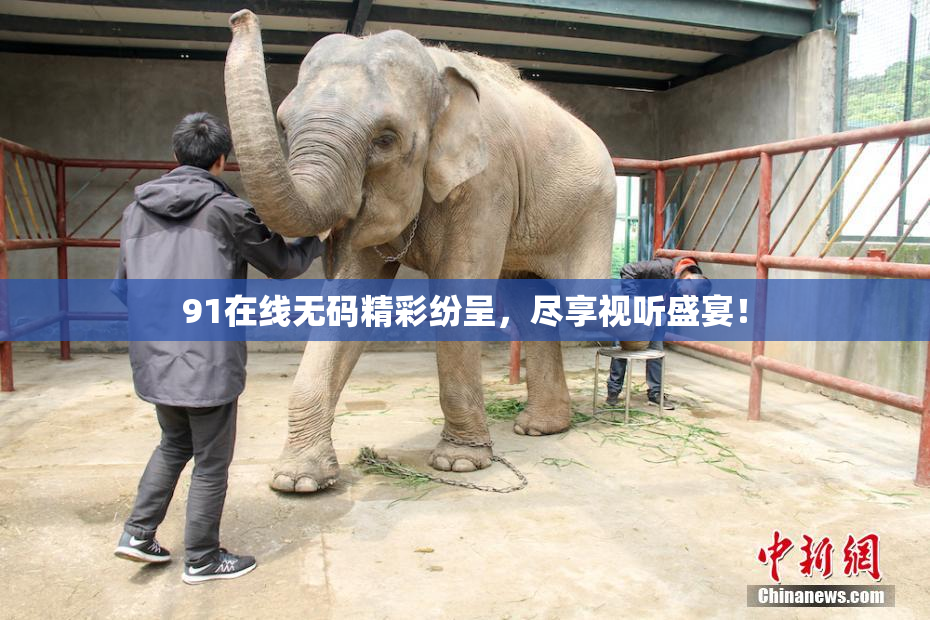 91在线无码精彩纷呈，尽享视听盛宴！