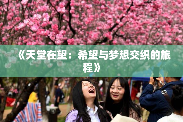 《天堂在望：希望与梦想交织的旅程》
