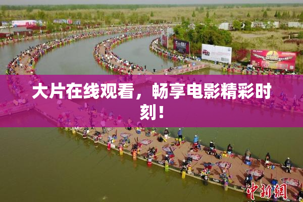 大片在线观看，畅享电影精彩时刻！