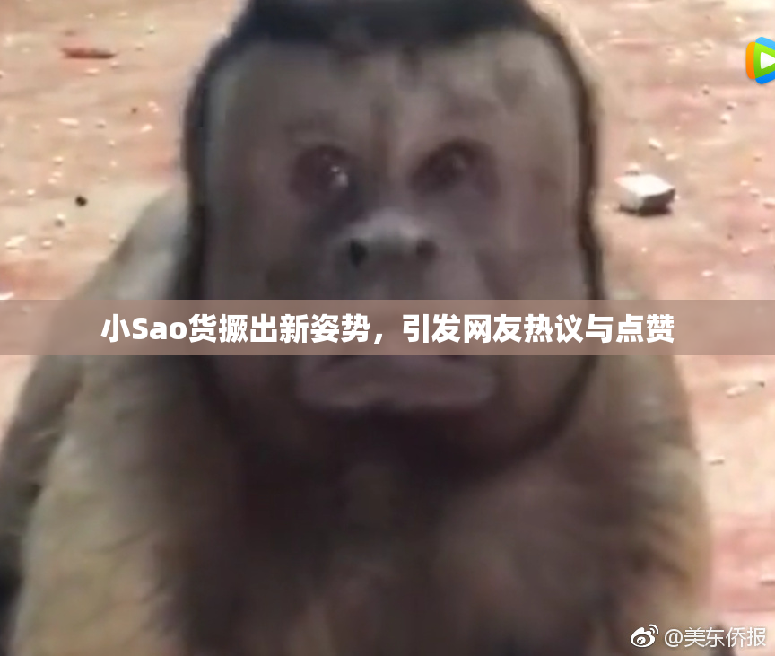 小Sao货撅出新姿势，引发网友热议与点赞