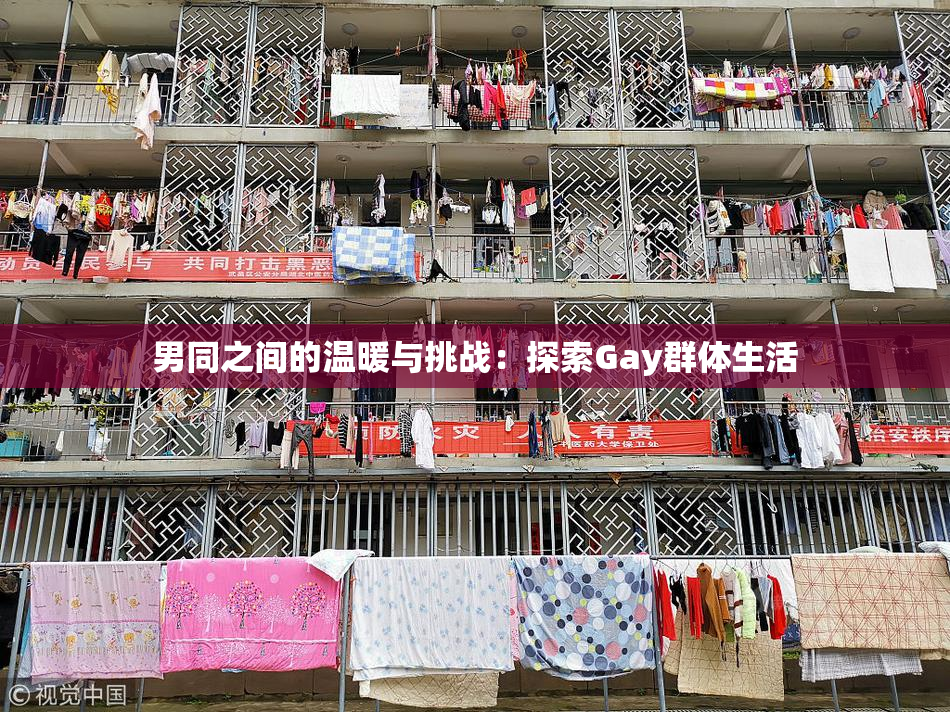 男同之间的温暖与挑战：探索Gay群体生活