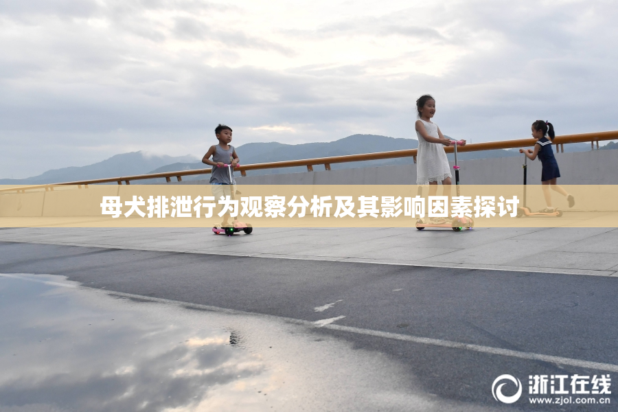 母犬排泄行为观察分析及其影响因素探讨
