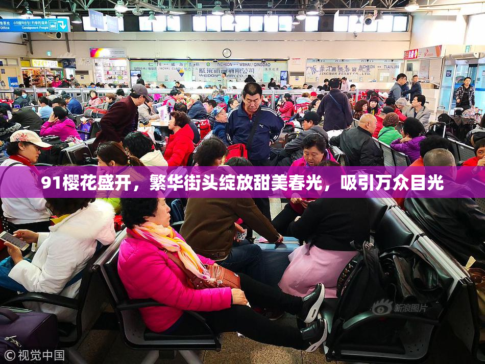 91樱花盛开，繁华街头绽放甜美春光，吸引万众目光