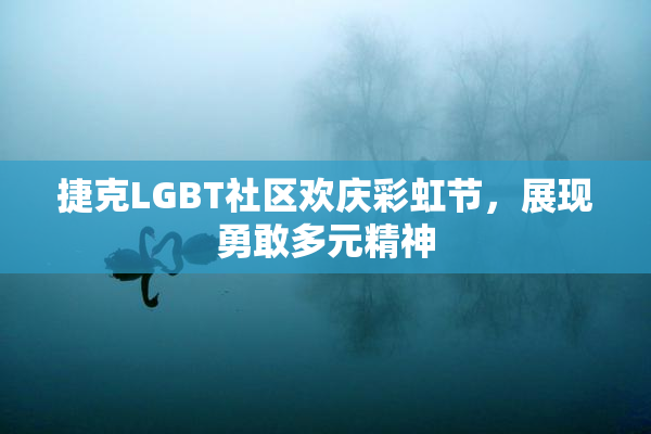 捷克LGBT社区欢庆彩虹节，展现勇敢多元精神