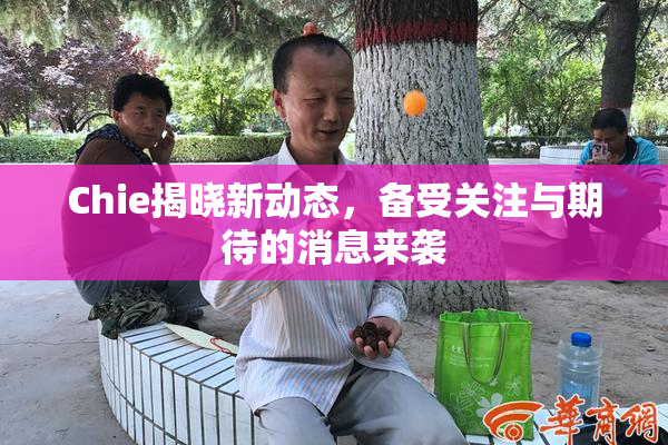 Chie揭晓新动态，备受关注与期待的消息来袭