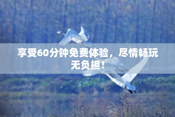 享受60分钟免费体验，尽情畅玩无负担！