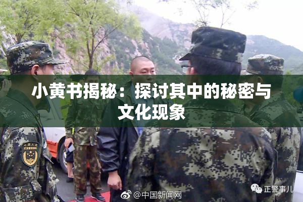 小黄书揭秘：探讨其中的秘密与文化现象