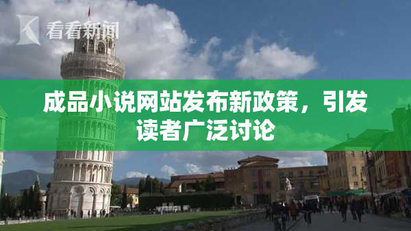 成品小说网站发布新政策，引发读者广泛讨论