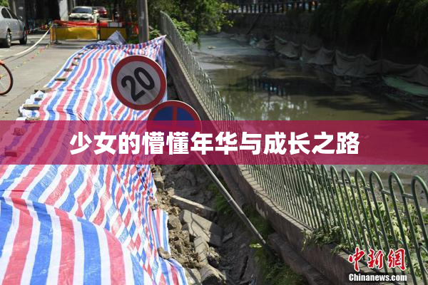 少女的懵懂年华与成长之路