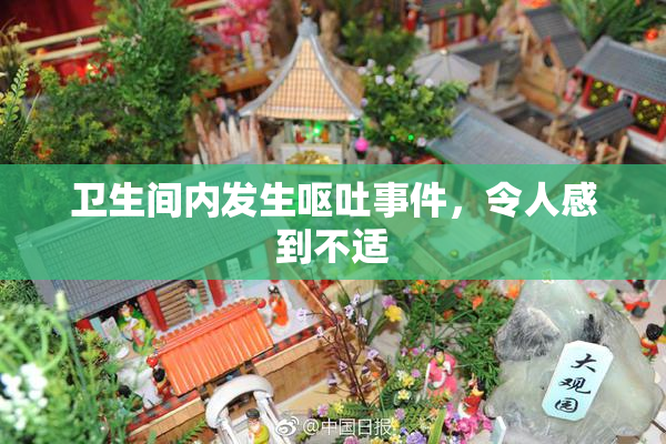 卫生间内发生呕吐事件，令人感到不适