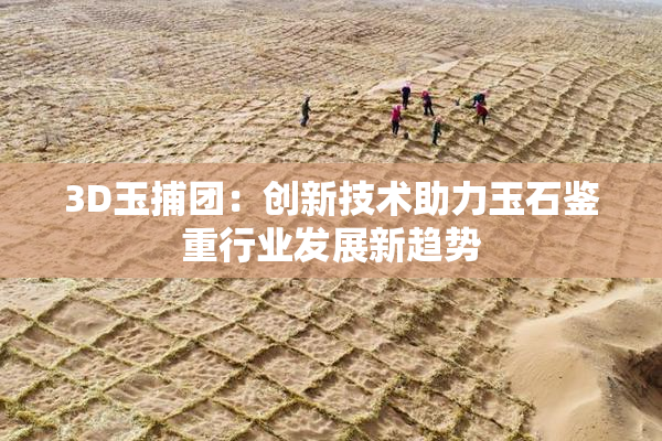 3D玉捕团：创新技术助力玉石鉴重行业发展新趋势