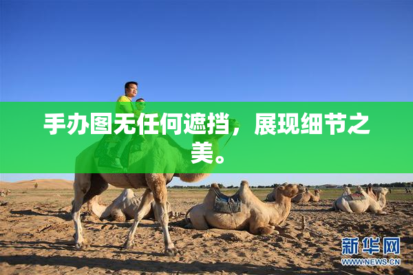 手办图无任何遮挡，展现细节之美。