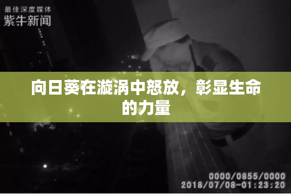 向日葵在漩涡中怒放，彰显生命的力量