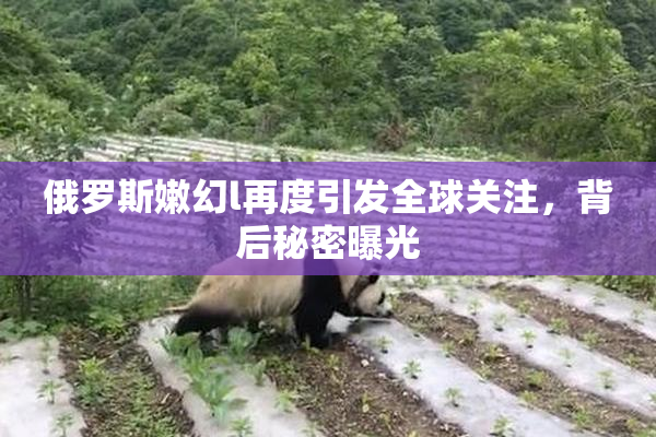 俄罗斯嫩幻l再度引发全球关注，背后秘密曝光