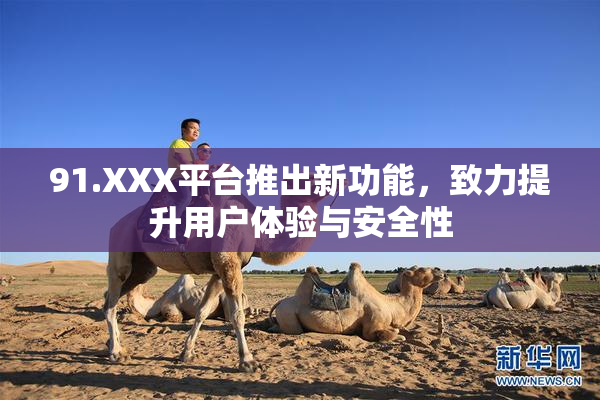 91.XXX平台推出新功能，致力提升用户体验与安全性