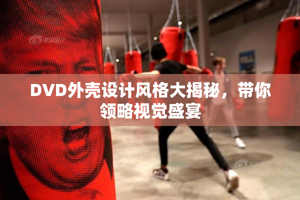 DVD外壳设计风格大揭秘，带你领略视觉盛宴