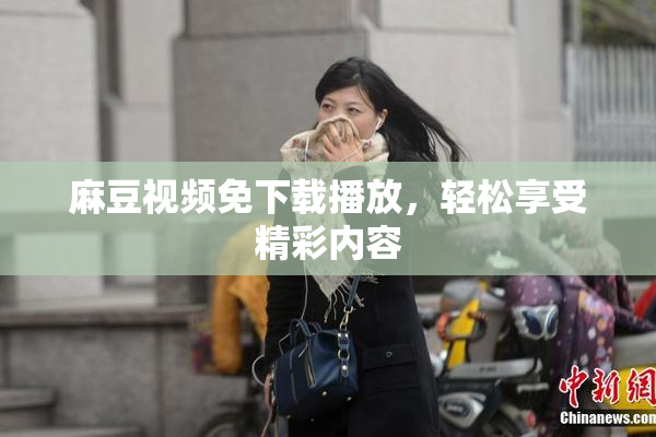 麻豆视频免下载播放，轻松享受精彩内容