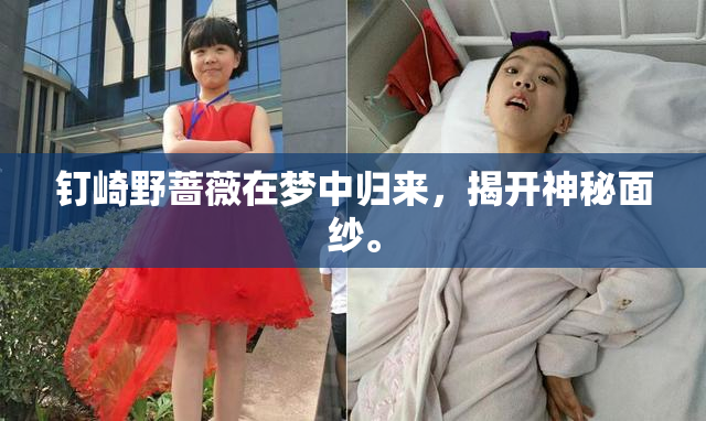 钉崎野蔷薇在梦中归来，揭开神秘面纱。