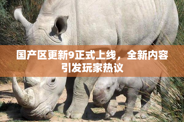 国产区更新9正式上线，全新内容引发玩家热议