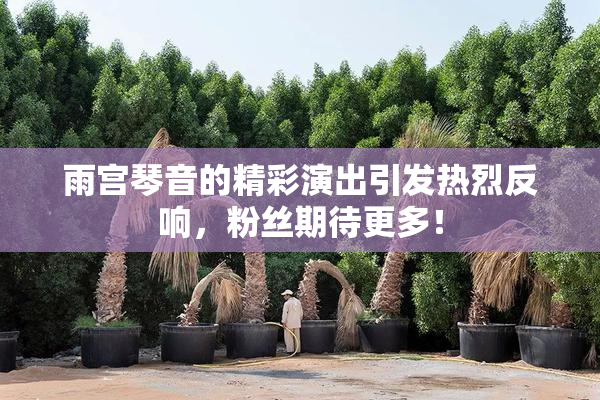 雨宫琴音的精彩演出引发热烈反响，粉丝期待更多！