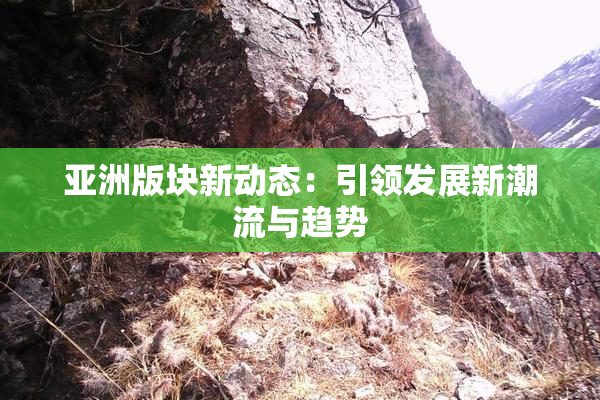 亚洲版块新动态：引领发展新潮流与趋势