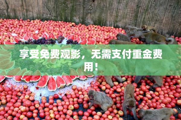 享受免费观影，无需支付重金费用！