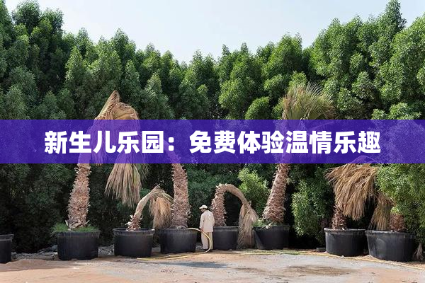 新生儿乐园：免费体验温情乐趣
