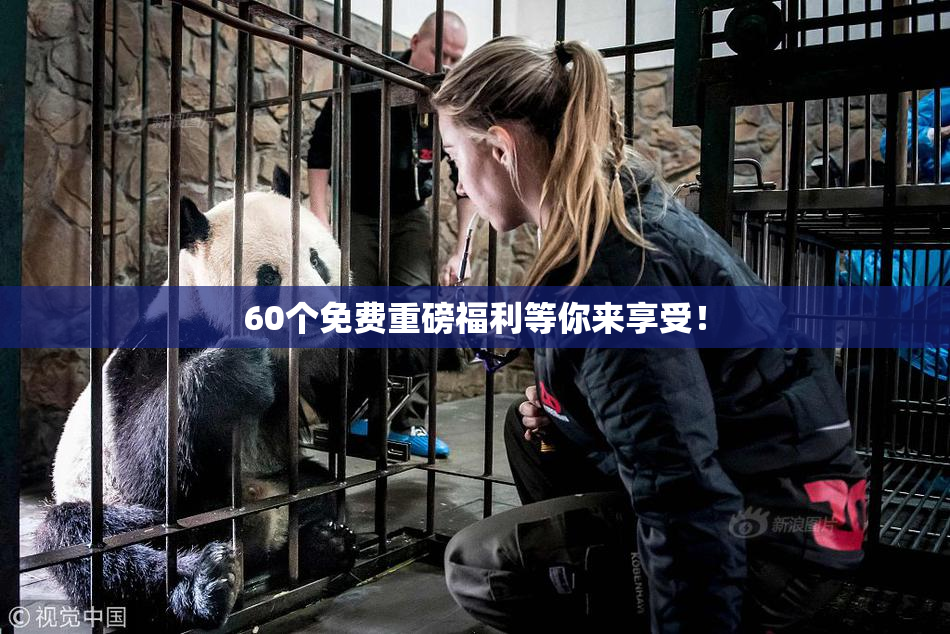 60个免费重磅福利等你来享受！