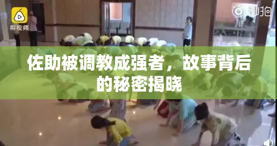 佐助被调教成强者，故事背后的秘密揭晓