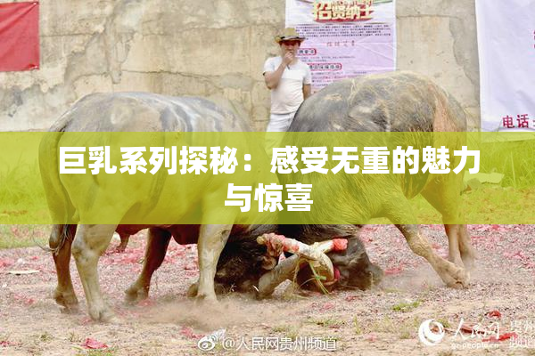 巨乳系列探秘：感受无重的魅力与惊喜