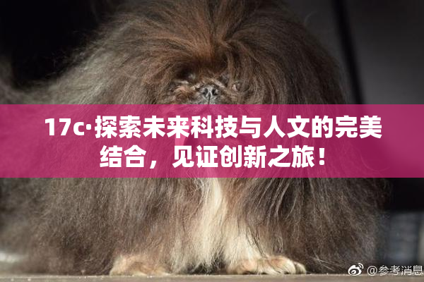 17c·探索未来科技与人文的完美结合，见证创新之旅！
