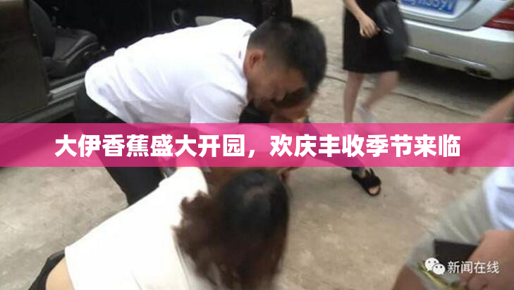 大伊香蕉盛大开园，欢庆丰收季节来临