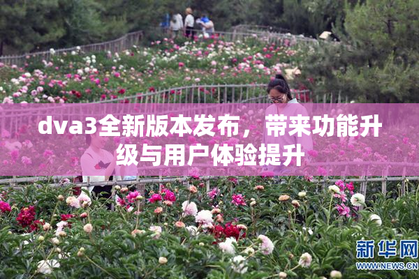 dva3全新版本发布，带来功能升级与用户体验提升