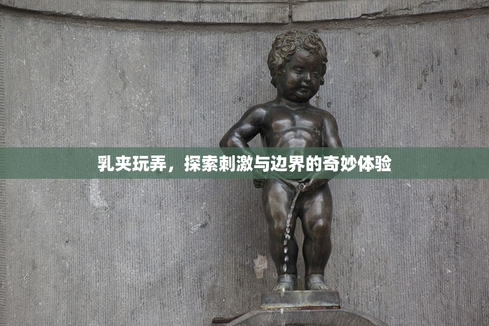 乳夹玩弄，探索刺激与边界的奇妙体验