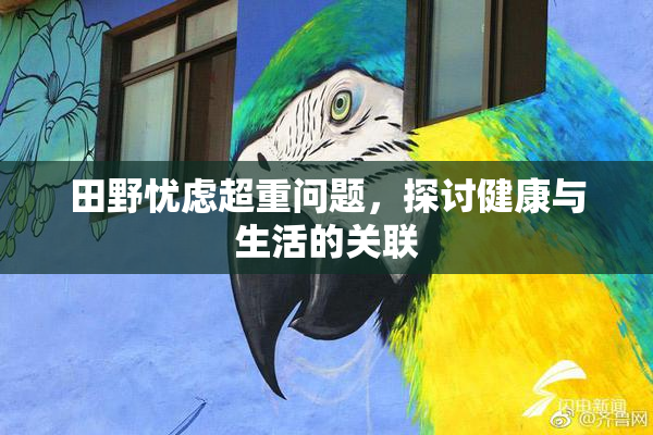 田野忧虑超重问题，探讨健康与生活的关联