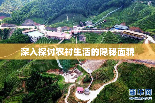 深入探讨农村生活的隐秘面貌